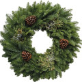 Fresh Evergreen